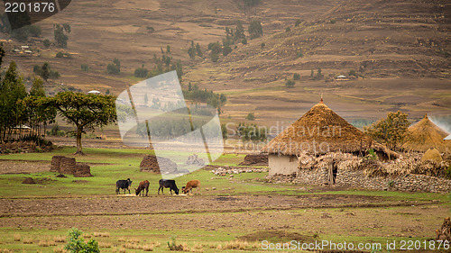 Image of Life in the countryside