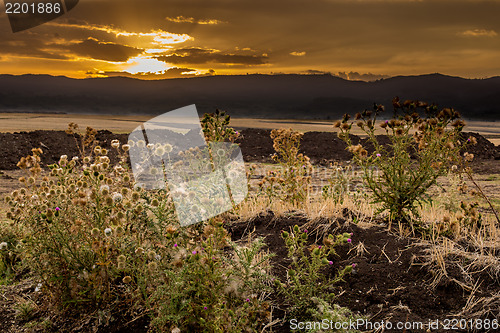 Image of Ethiopian rural landscape