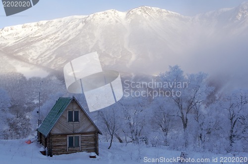 Image of small house in wood