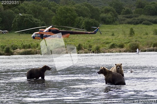 Image of Kamchatka