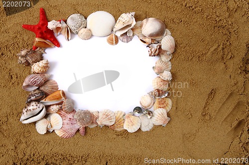 Image of shells, sand, white paper