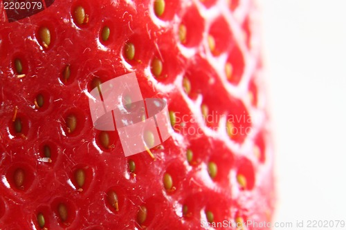 Image of detail of strawberry as background