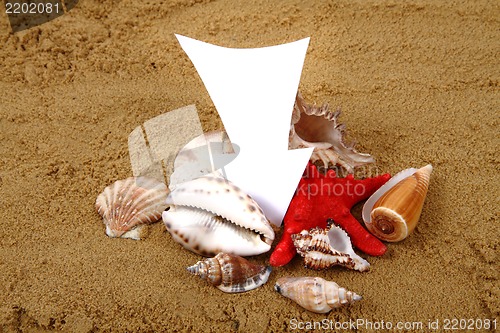 Image of sea shells, paper and yellow sand