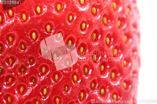 Image of detail of strawberry as background