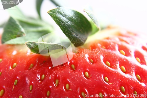 Image of detail of strawberry as background