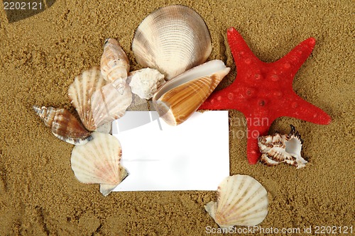 Image of shells, sand, white paper