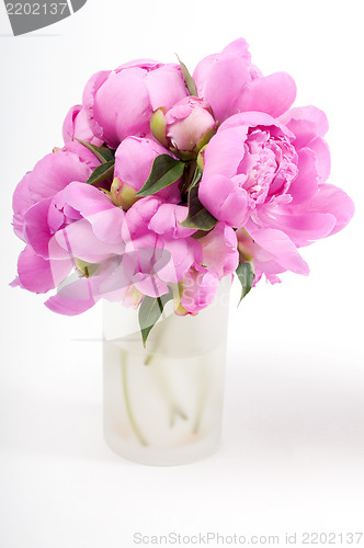 Image of Pink peony