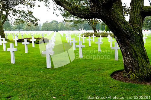Image of American Cemetery at Normandy