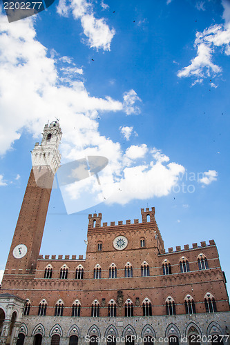 Image of Siena - Palazzo Comunale, Italy