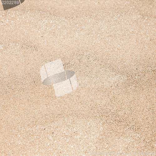 Image of Gold Sand in Kenya