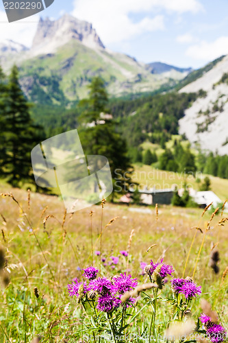 Image of Italian Alps