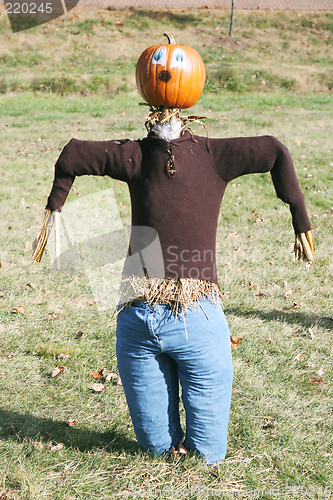 Image of Pumpkin person