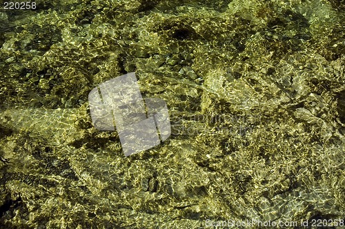 Image of Water ripples