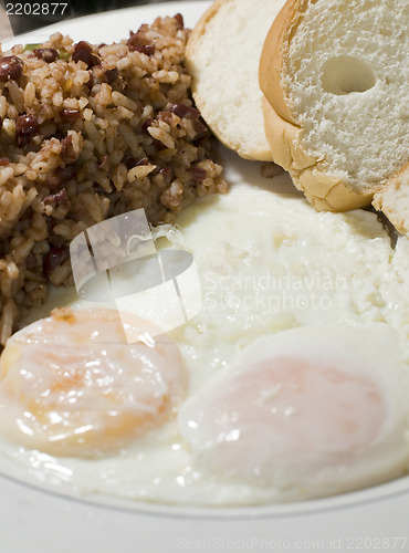 Image of Nicaraguan style fried eggs breakfast with rice and bean gallo p