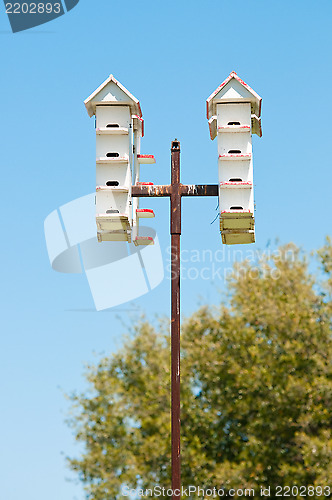 Image of Group of bird houses on a pole