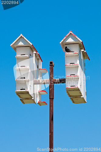 Image of Multiple white bird houses