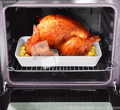 Image of roast turkey