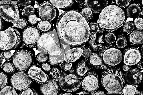 Image of Firewood black and white background