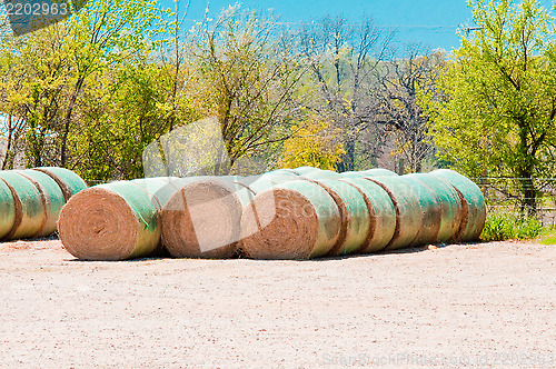 Image of Harvested hay bales on farm