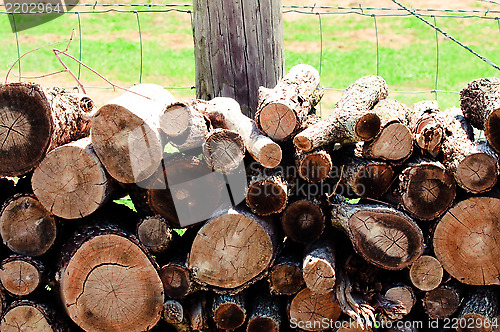 Image of Pile of firewood