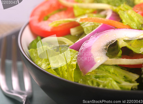 Image of Closeup of a fresh garden salad