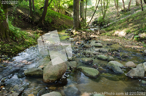 Image of river bottom with large stone in forest 