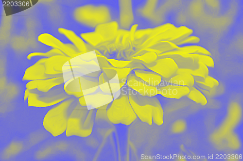 Image of Decorative flowers in the style of airbrushing