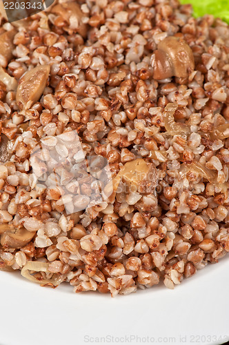 Image of buckwheat