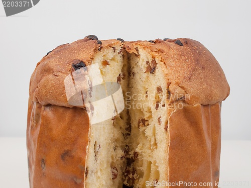 Image of Panettone bread