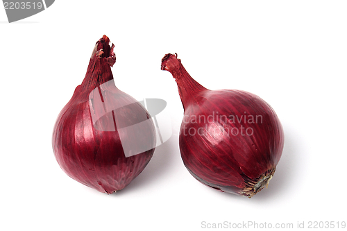 Image of Red Spanish Onion