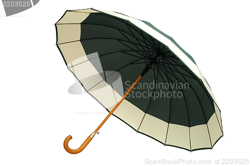 Image of Green Umbrella on White Background