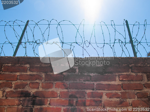 Image of Barbed wire