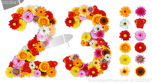 Image of Numbers 2 and 3 made of various flowers