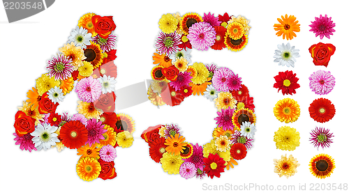 Image of Numbers 4 and 5 made of various flowers