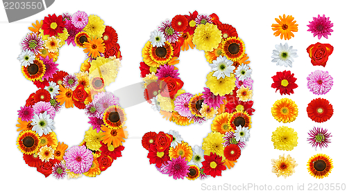 Image of Numbers 8 and 9 made of various flowers