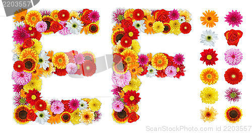 Image of Characters E and F made of various flowers