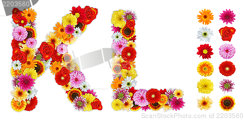 Image of Characters K and L made of various flowers