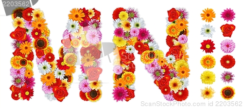 Image of Characters M and N made of various flowers