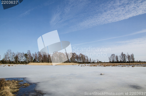 Image of Wetland with melting ice