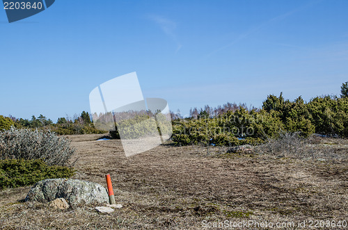 Image of Marked trail in wilderness