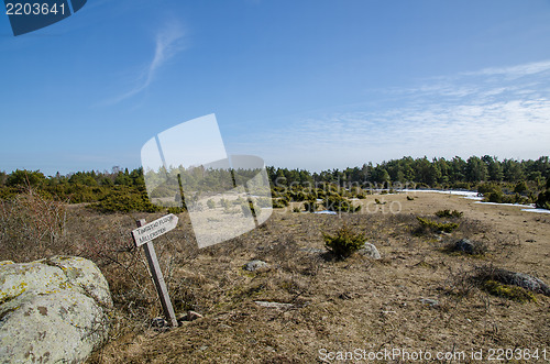 Image of Wooden sign at a trail into wilderness