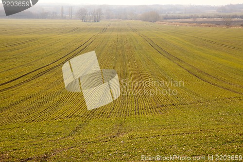Image of Agriculture