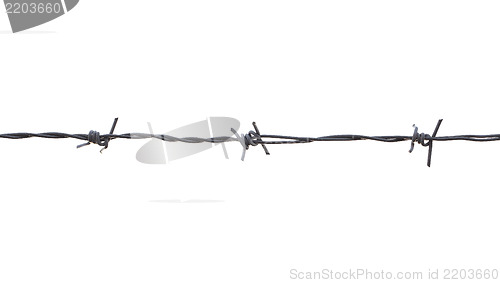 Image of Barbed Wire