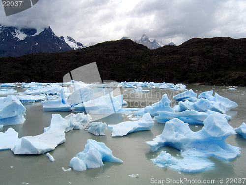 Image of Ice Scuplture