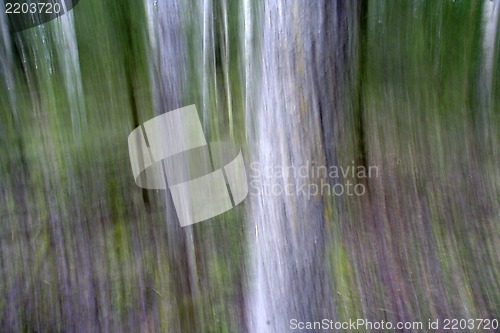 Image of Abstrack Background