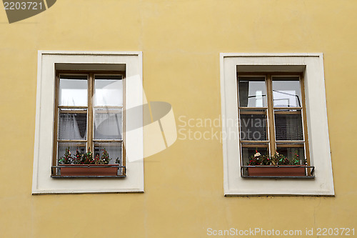 Image of Windows on the wall