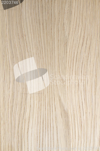 Image of Wood Texture Background 