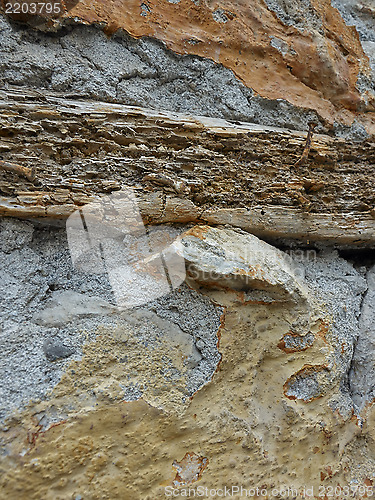 Image of Plaster, beam and nails