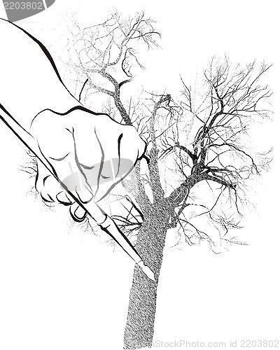 Image of Tree illustration pen