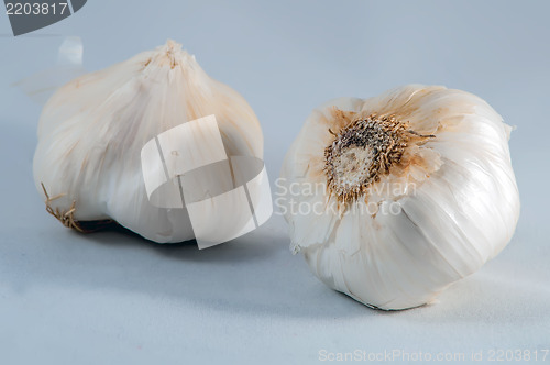 Image of Garlic isolated on white background